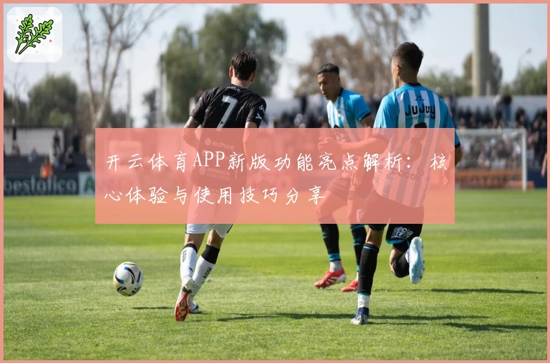 开云体育APP新版功能亮点解析：核心体验与使用技巧分享